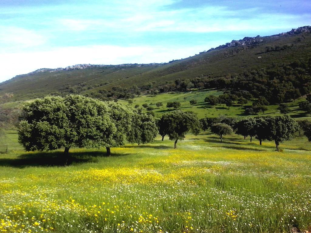 Casa Rural La Sierra De Monfraguee Malpartida De Plasencia Exteriör bild